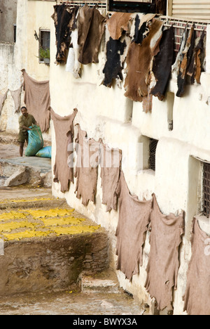 Chouwara Gerberei in Fez, Marokko Stockfoto