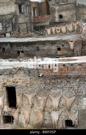 Chouwara Gerberei in Fez, Marokko Stockfoto