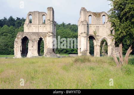 Die Ruinen von Roche Abbey, in der Nähe von Maltby, Yorkshire, England Stockfoto