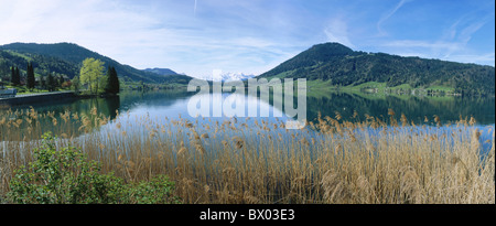 Ägerisee See Meer Landschaft Panorama Reed Schweiz Europa Weitwinkel Zug Stockfoto