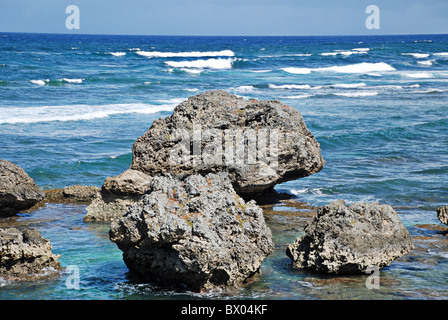 Küste bei Batseba, Barbados, Karibik, Karibik. Riesige Felsbrocken durch den Atlantischen Ozean schweren Brandung erodiert sind eine Funktion von t Stockfoto