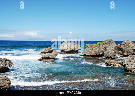 Felsen und Geröll durch Brandung und Wellen in Bathsheba an Ostküste von Barbados, Karibik, Karibik erodiert. Stockfoto