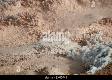 USA, Wyoming. Yellowstone-Nationalpark. Lower Geyser Basin, Fountain Paint Pot Bereich. Kochendem Schlamm Töpfe geologische Funktion. Stockfoto