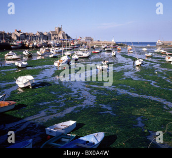 Hafen Port Barfleur Normandie Boot niedrigen Ebbe Flut Angeln Boot Fischen Fischerei Frankreich Europa coas Stockfoto