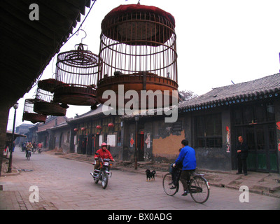 Vogelkäfige hängen außerhalb eines traditionellen Hofhaus, alten Ming-Qing Straße, Pingyao, Shanxi Provinz, China Stockfoto