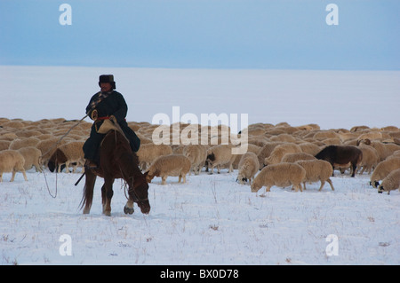 Barag mongolischen Mann herding eine Herde weidender Schafe, alte Barag Banner Hulunbuir, autonomen Region Innere Mongolei, China Stockfoto