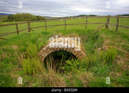 Große Chesters Roman Fort, Hadrianswall, England Stockfoto