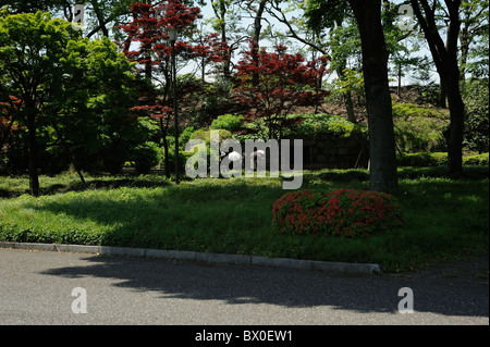 Japanische Frauen mit Sonnenschirmen im Imperial Palace Garten, Tokyo, Japan Stockfoto