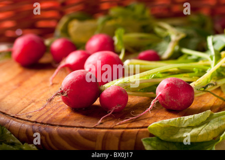 Radieschen Stockfoto