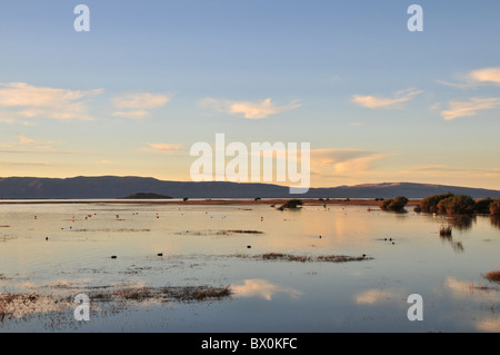 Abends Blick auf Cumulus-Wolken reflektiert in der rosa-Flamingo, Federwild Gewässern von Bahia Redonda Lagune, El Calafate, Argentinien Stockfoto