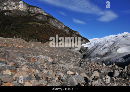 Grundmoräne an den schmutzigen Seiten des Perito Moreno Gletschers vor einem Hügel mit herbstlichen Lenga Buchenwald, Anden Stockfoto