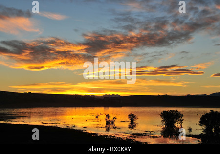 Roten Sonnenuntergang Wolken reflektiert in dem ruhigen Wasser des Bahia Redonda vor dem Hintergrund der Anden Silhouetten, El Calafate in Patagonien Stockfoto