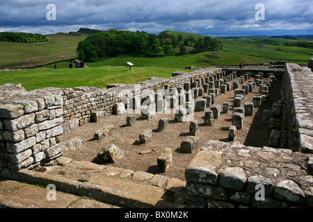 Getreidespeicher in Housesteads Fort, Hadrianswall, Northumberland, England Stockfoto