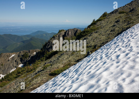 Spätsommer Schnee auf Mount Townsend mit Mount Rainier im Hintergrund. Olympic National Forest Washington USA, von Larry Mishkar/Dembinsky Photo Asso Stockfoto