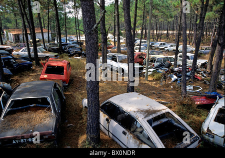 Verlassene Autos geworfen in einen Wald. Stockfoto