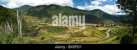 Panoramablick über Reisfelder im Lobesa-Tal auf dem Weg zwischen Wangdue Phodrang und Punakha, Bhutan Stockfoto