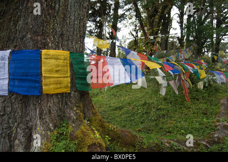 Gebetsfahnen gebunden zwischen Bäumen auf dem Berg am Dochula Pass, Bhutan. Stockfoto