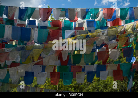 Bunte Gebetsfahnen auf dem Weg zum Taktsang Kloster, Bhutan Stockfoto