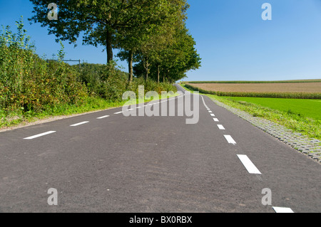 Eine leere, baumgesäumten Landstraße in den Niederlanden Stockfoto