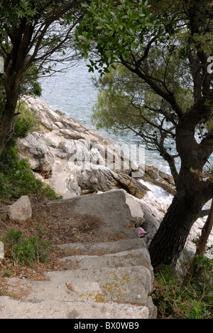 Es gibt Schritte zur Selbsthilfe in und aus den felsigen Strand in der Bucht von Lapad. Setaliste Nika ich Meda Pucica, Lapad, Dubrovnik... Stockfoto