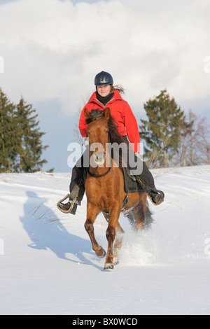 Junge Reiter auf Rückseite ihrer Paso Fino mit Halsring, Pferd im Galopp im Schnee Stockfoto