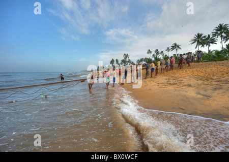 Leute ziehen ein Fischernetz in der Südküste von Sri Lanka Stockfoto