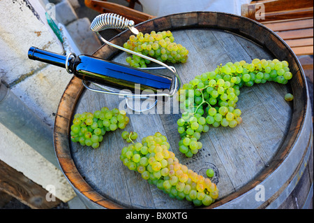 Flasche Wein und Trauben, auf einem Fass Wein-Herstellung Stockfoto