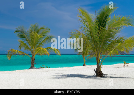 Leeren Strand auf der Insel Koh Lipe, Thailand Stockfoto