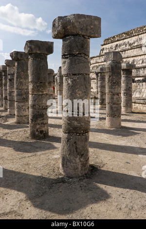 Stein-Spalten in der Gruppe der 1000 Säulen in der klassischen Maya-Stätte von Chichen Itza, Halbinsel Yucatan, Mexco. Stockfoto