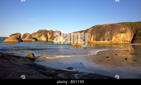 Elephant Rocks im William Bay National Park, in der Nähe der Stadt Dänemarks, Western Australia. Stockfoto