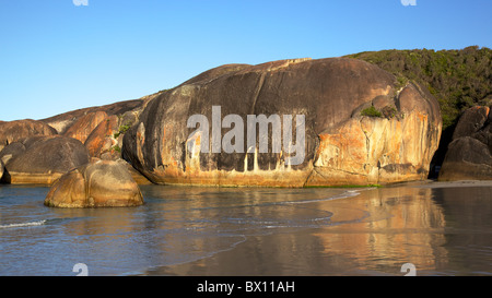 Elephant Rocks im William Bay National Park, in der Nähe der Stadt Dänemarks, Western Australia. Stockfoto