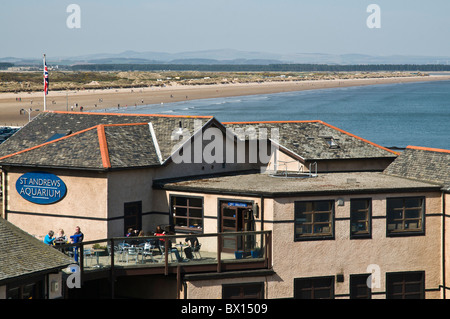 dh The Score ST ANDREWS FIFE Menschen im Cafe st andrews Aquarium West Sands schottland Touristenrestaurant Stockfoto