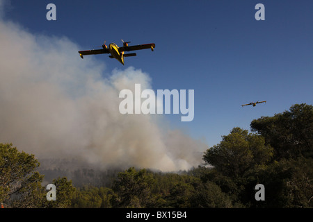 Eine Canadair CL-215 (Scooper) Wasser Bomber von gokcen Aviation Feuerlöschanlagen Flotte der Türkei fällt schwer entflammbar auf einer massiven Wald wildfire auf dem Berg Karmel im Norden Israels Stockfoto