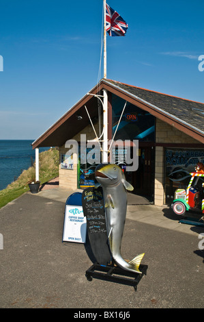 dh St. Andrews Aquarium ST ANDREWS FIFE St. Andrews Aquarium Eingang Schottland Attraktion Stockfoto