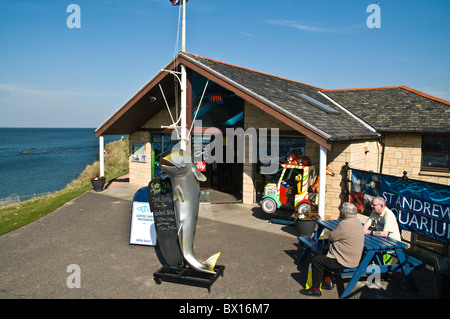 Dh St. Andrews Aquarium ST ANDREWS St Andrews Fife Aquarium Eingang und Touristen Schottland Sehenswürdigkeiten Stockfoto