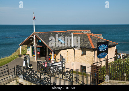 dh St. Andrews Aquarium ST ANDREWS FIFE Gebäude schottland Besucherattraktionen Stockfoto