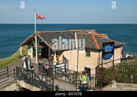 dh St. Andrews Aquarium ST ANDREWS FIFE St. Andrews Aquarium Gebäude und Menschen schottland Besucherattraktionen Stockfoto