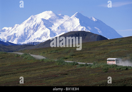 Alaska-Denali Nationalpark bewahren Kantishna Road Mount McKinley USA USA Nordamerika Stockfoto