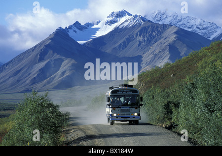 Alaska-Denali Nationalpark bewahren Kantishna Road Mount McKinley USA USA Nordamerika Stockfoto