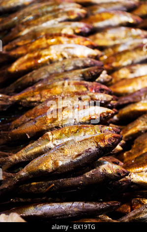 getrockneter Fisch verkauft im Markt, Fotos in Philippinen. Stockfoto