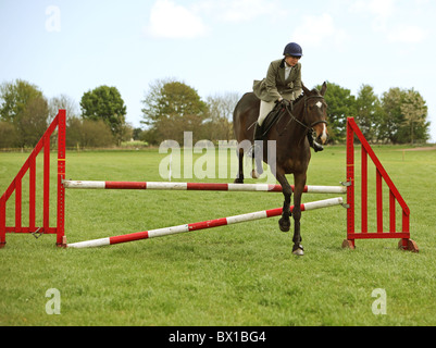 Pferd und Reiter Aufwärmen für Arbeiten Jäger zeigen Stockfoto