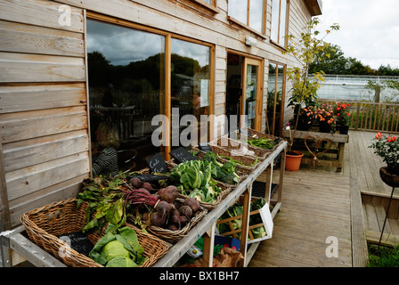 Frische, regionale Gemüse zum Verkauf an der Gower Wildflower Centre, Wales. Stockfoto