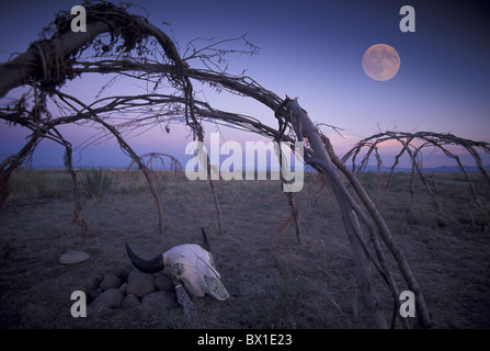 Blackfeet Schwitzhütte Vollmond Nacht Schwitzen Baden Bison Schädel Montana Ulm Pishkun USA Amerika United Stat Stockfoto