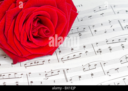 Notizen mit roter rose Stockfoto