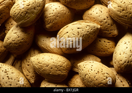Mandelbaum Nüssen füllen der Frame-Nahaufnahme Stockfoto