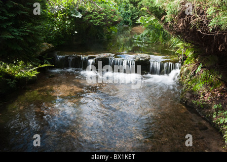 Einen künstlichen Wasserfall in den Gärten in Newstead Abbey, Nottinghamshire Stockfoto