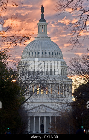 Die United States Capitol Building, Washington, D.C. Stockfoto