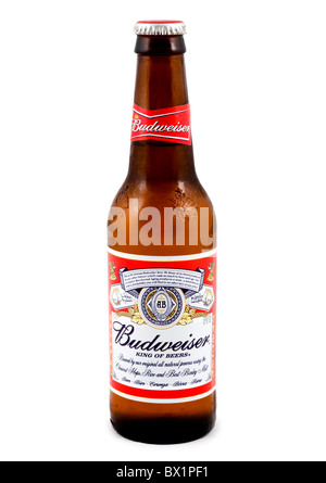 Flasche eiskaltem Budweiser Beer, USA Stockfoto