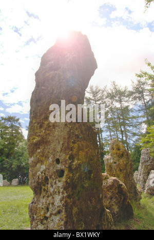 Rollright Stones einzelner Stein Stockfoto