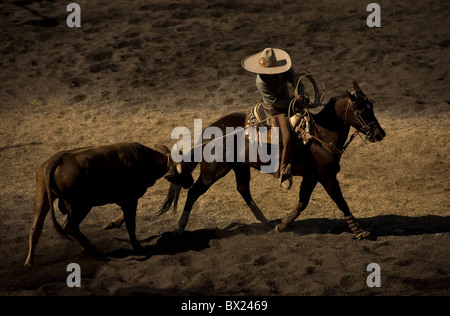 Eine mexikanische Charro lassos einen Stier, als er ein Pferd bei einem Charrería Wettbewerb in Mexiko-Stadt reitet. Stockfoto